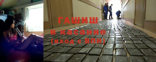 гашик Гусев