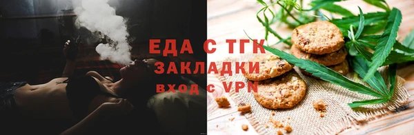 гашик Гусев