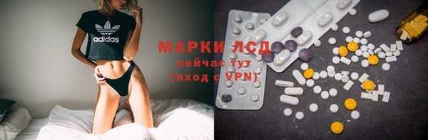 гашик Гусев
