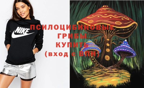гашишное масло Дмитровск