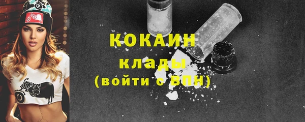 гашик Гусев