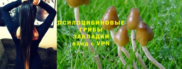 гашишное масло Дмитровск