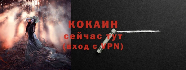 гашик Гусев